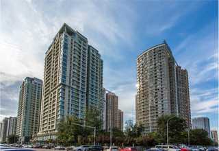 宝山区礼品武夷红茶定制