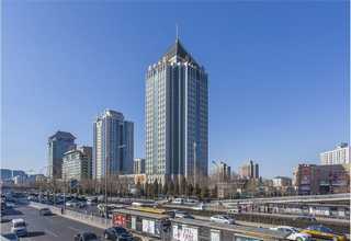 石嘴山碱抗货源充足